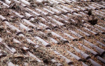 Blairninich roof cleaning companies